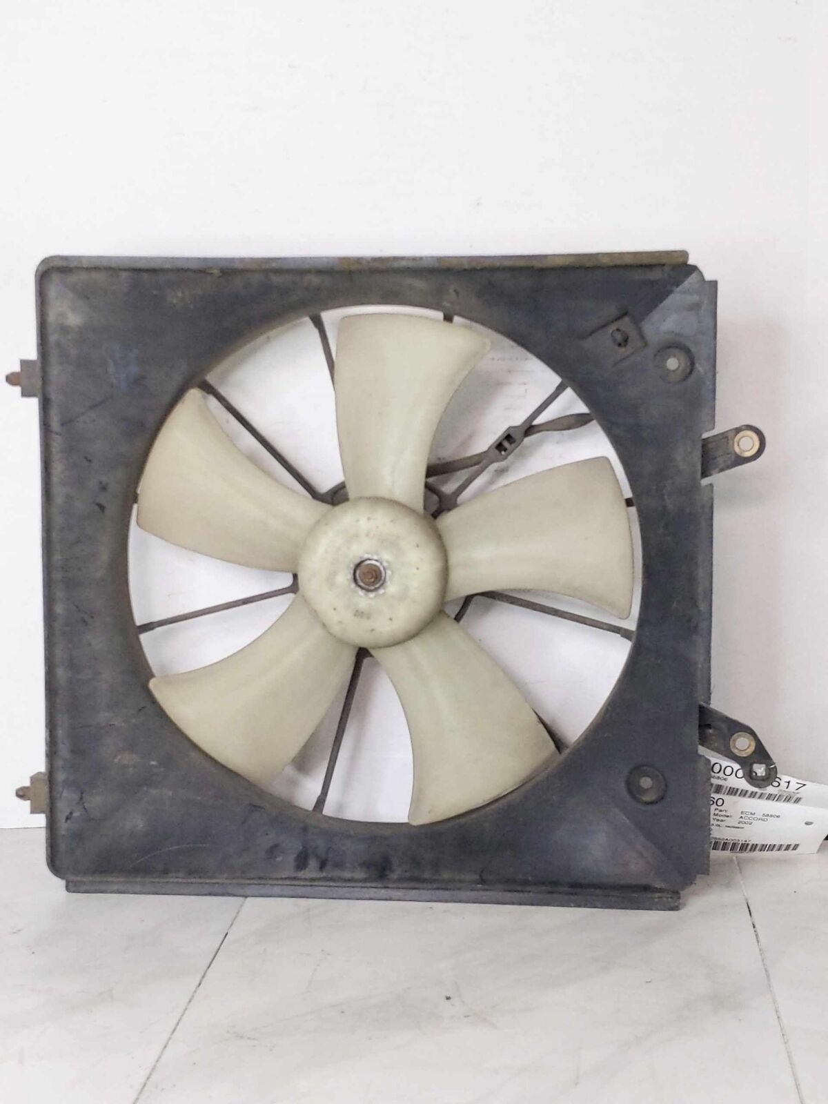 Electric Cooling Fan Motor Assembly OEM HONDA ACCORD 3.0L 98 99 00 01 02